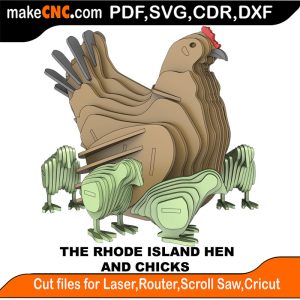Rhode Island Hen Chicks Birds