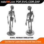 Kool Human Skeleton MakeCNC SVG DXF PDF CDR 3D puzzle pattern product image